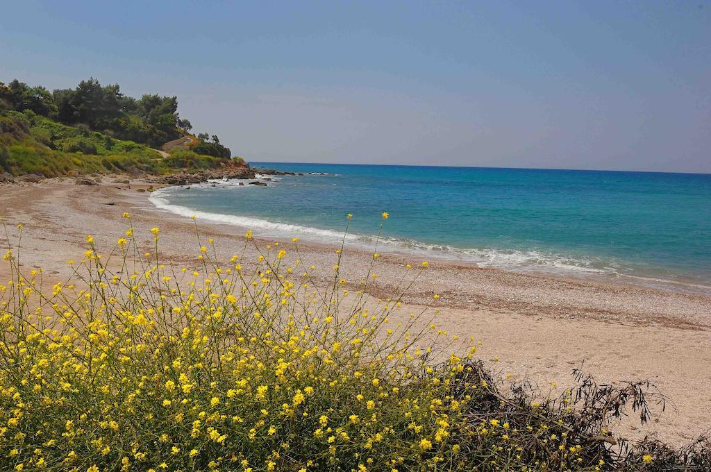 Villa Vanda Lygia  Ruang foto